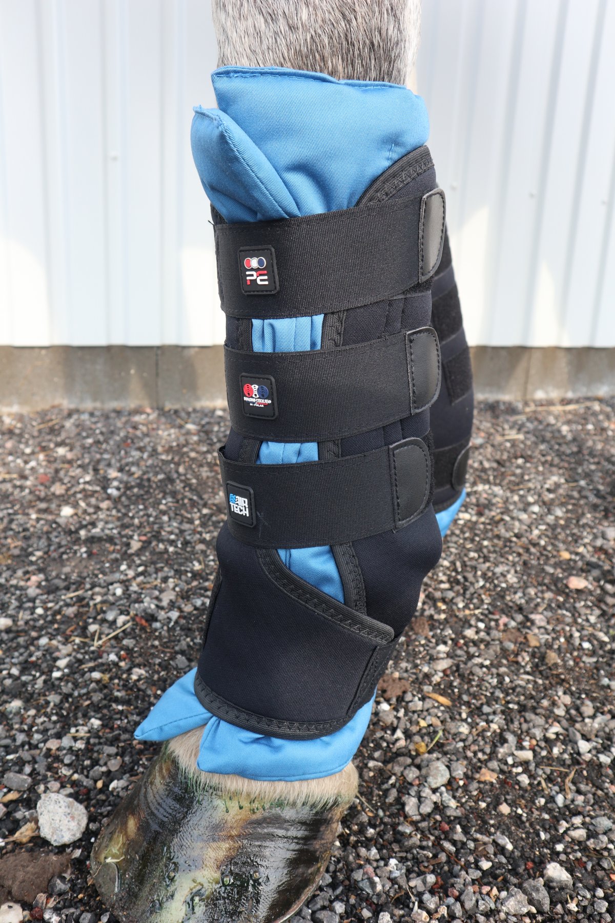 premier equine infrared boots